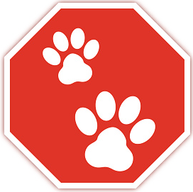 Stop Sign with Cat Paws